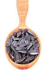 Sunflower seeds in a spoon