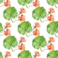 Seamless vector pattern with watercolor Geranium leaves and flow