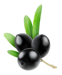 Black olives isolated on white