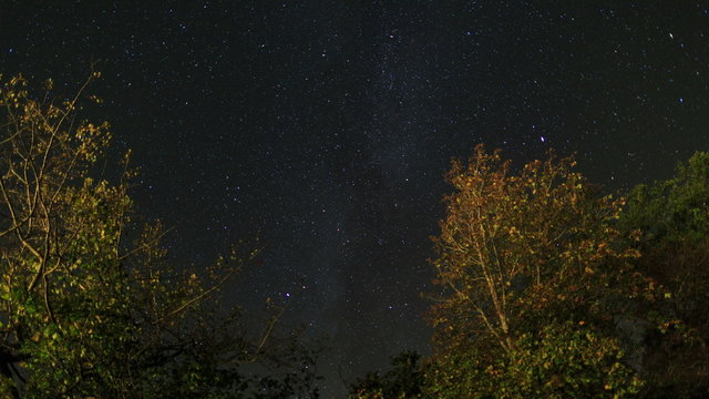 Night sky with star tracks and autumn tree, 4K timelapse