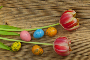 Tulpen mit Ostereier