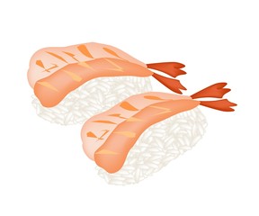 Ebi Sushi or Shrimp Nigiri on White Background