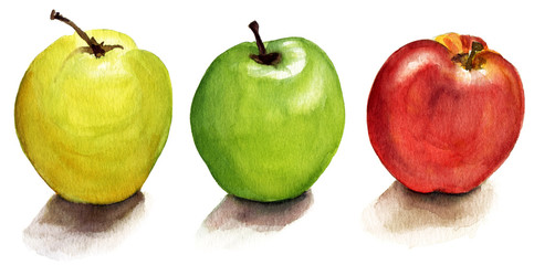 A set of watercolour apples on white background (isolated)