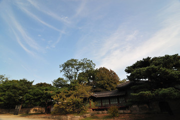 한국전통이미지