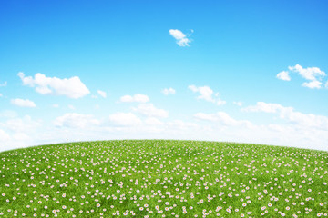 Green field and blue sky