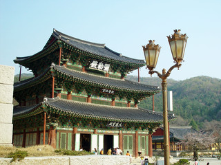 Fototapeta premium 한국전통이미지