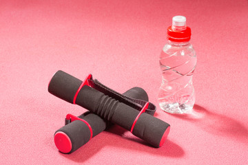 Fitness dumbbells on the sports rug