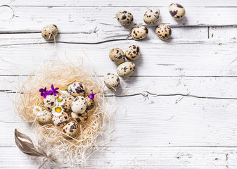 Easter eggs on white rustic background.Easter card.