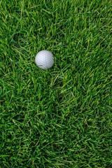 Golf ball on Green Grass