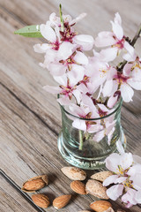 Obraz na płótnie Canvas Almonds and flower tree in a wooden background