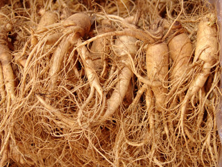 한국전통이미지