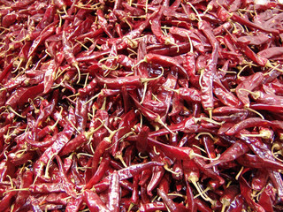 한국전통이미지