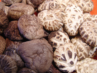 한국전통이미지