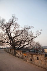 한국전통이미지