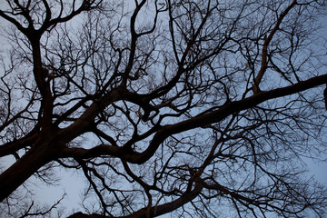 한국전통이미지