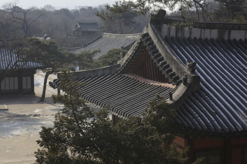 Naklejka premium 한국전통이미지