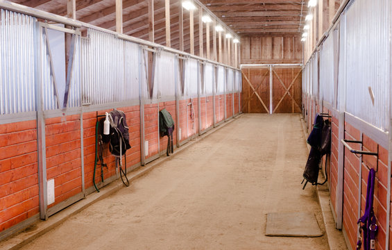 Horse Barn Animal Sport Paddock Equestrian Ranch Racing Stable