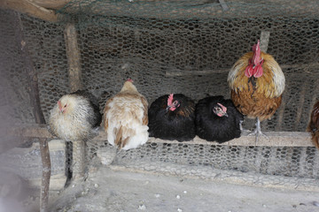 한국전통이미지