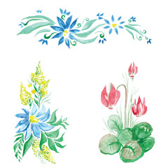 watercolor beautiful flowers with leaves