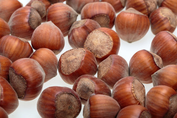 Pile of hazelnuts isolated on white background