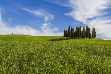 The Tuscan hills