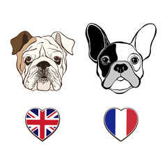 English bulldog face and French Bulldog face  with  heart flags.