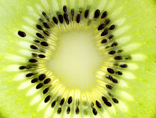Close up of a healthy kiwi fruit
