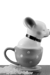 Salt shaker french bulldog isolated on white