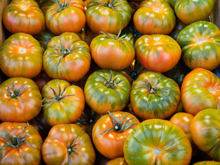 Obraz premium Raff tomatoes