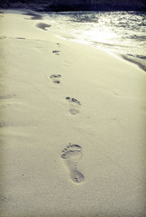 Footsteps in the sand