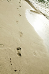 Footsteps in the sand