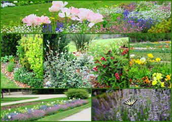 composition "jardin paysagé en été"