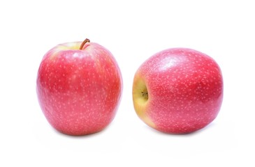 Apple Pink Lady