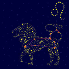 Fototapeta na wymiar Zodiac sign Leo over starry sky