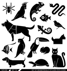 Set of geometrically stylized pet icons. Vector illustration.