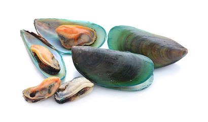 mussels in shells isolated on white background