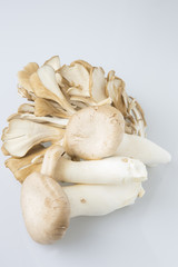 舞茸とエリンギ