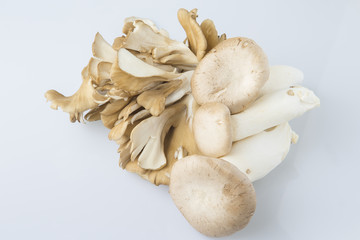 舞茸とエリンギ