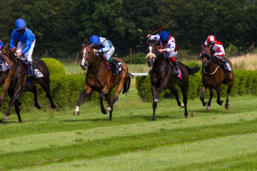 Horse race outdoor