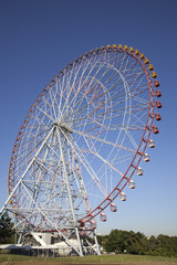 Fototapeta premium 観覧車 東京