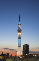 東京スカイツリー　夕景