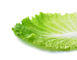 chinese cabbage Isolated on a white background