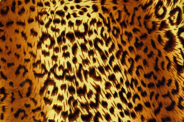 leopard backgrounds