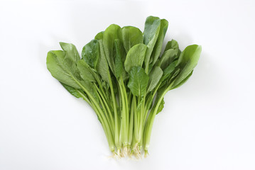 小松菜　白背景