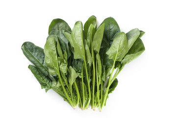 ほうれん草 © Chikako Kamitori