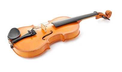 violin on white background