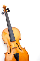 violin on white background