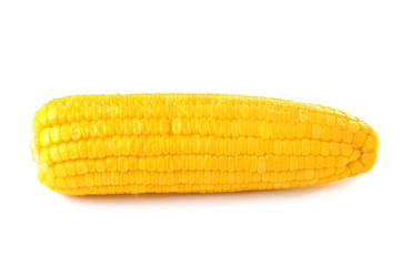 Boiled corn isolated on white background