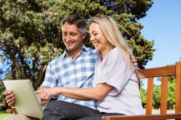 Couple relaxing in the park with laptop