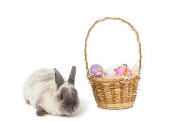 Easter bunny with basket of eggs